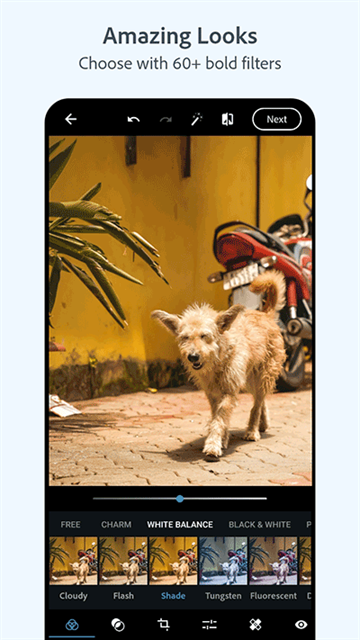 photoshop软件免费版下载