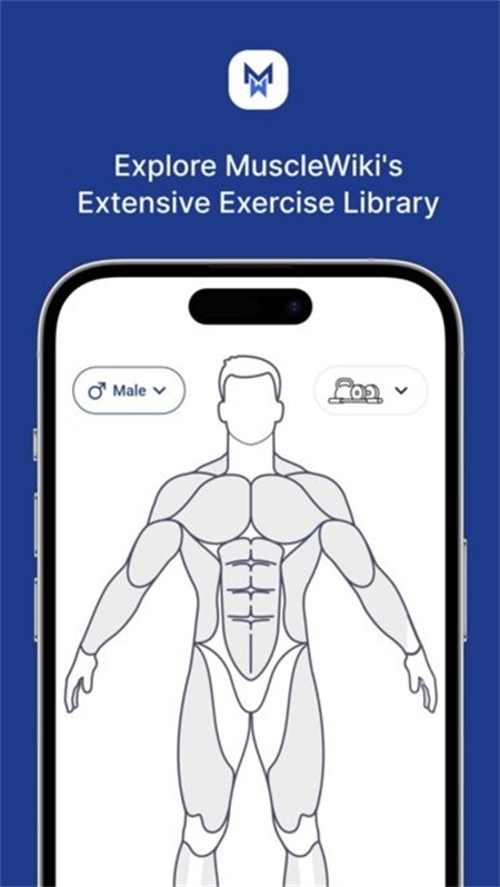 MuscleWiki手机版下载
