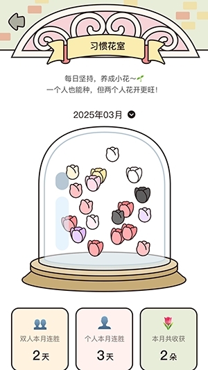 吱吱小岛app最新版