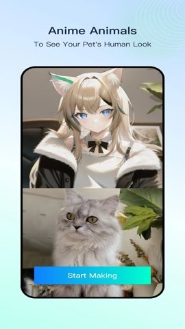 faceplay免费版下载