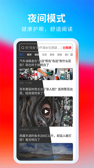 飞觅浏览器下载安装