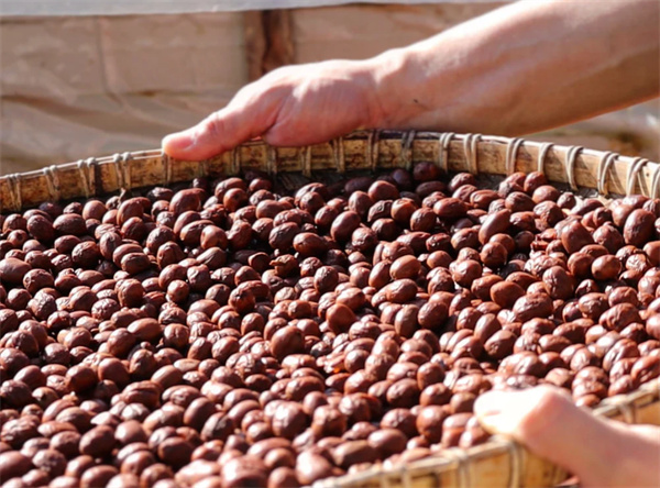 1762842912895327.jpg 1.jpg