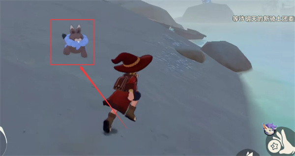 1763101803126230.jpg 1.jpg