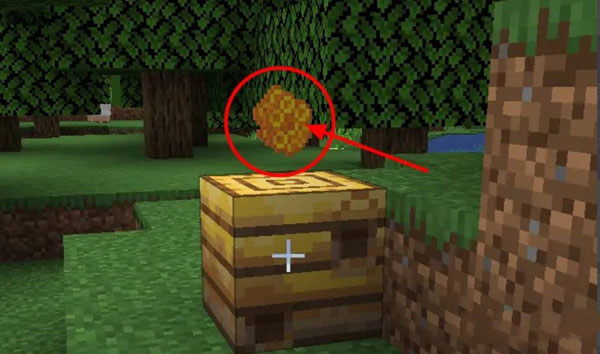 1764053572518804.jpg 2.jpg