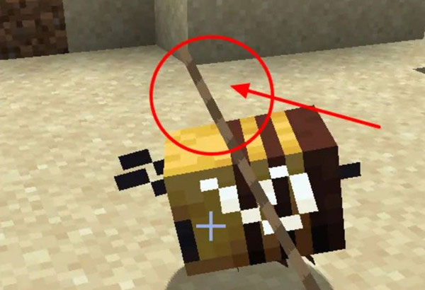 1764053586502447.jpg 5.jpg