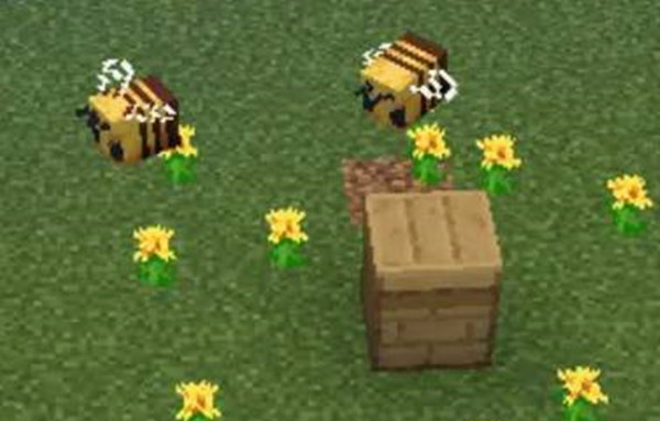 1764053598341486.jpg 7.jpg