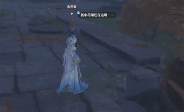 1764828703497113.jpg 2.jpg