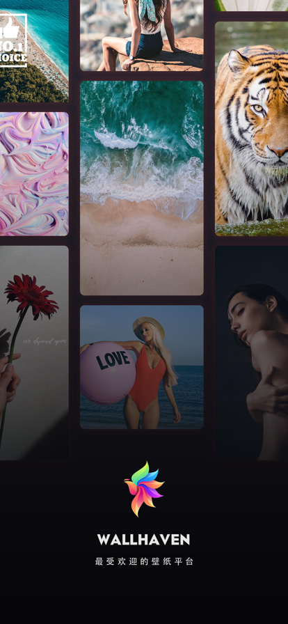 Wallhaven官网app下载