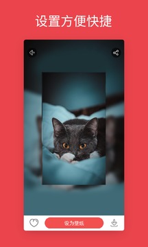 1766558190129704.jpg 110_8bf180063297848086dfa9383b30cc2f_234x360.jpg