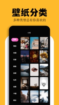 彩虹猫pro正版下载官网