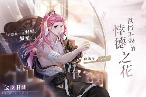 猫之宿约者下载