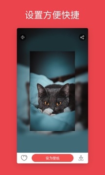 安卓动态壁纸下载安装