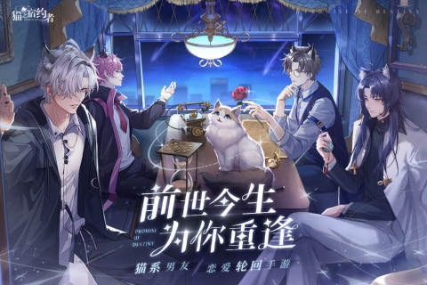 猫之宿约者下载