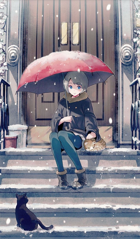 码字精灵官方下载