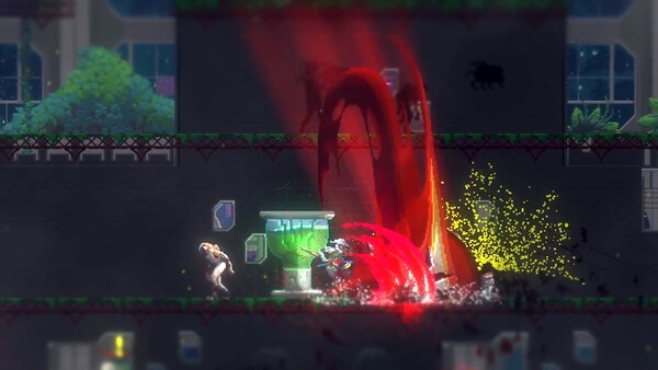 1767753597385709.jpg 1758274440_113824.jpg