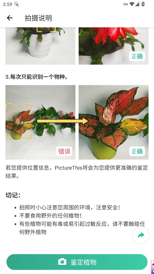 PictureThis官网下载