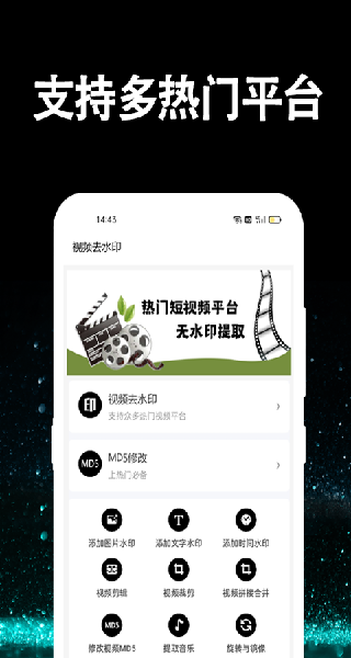 视频提取大师免费版