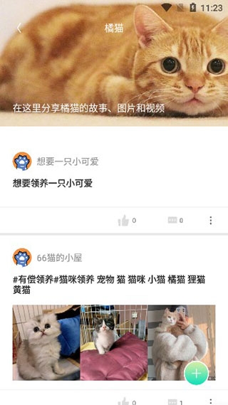 握爪宠物app官方下载