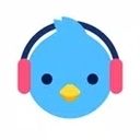 Lark Player汉化版