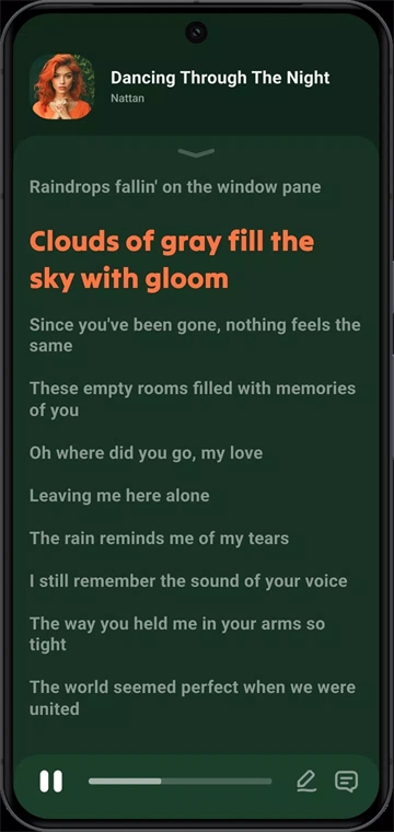 Lark Player汉化版