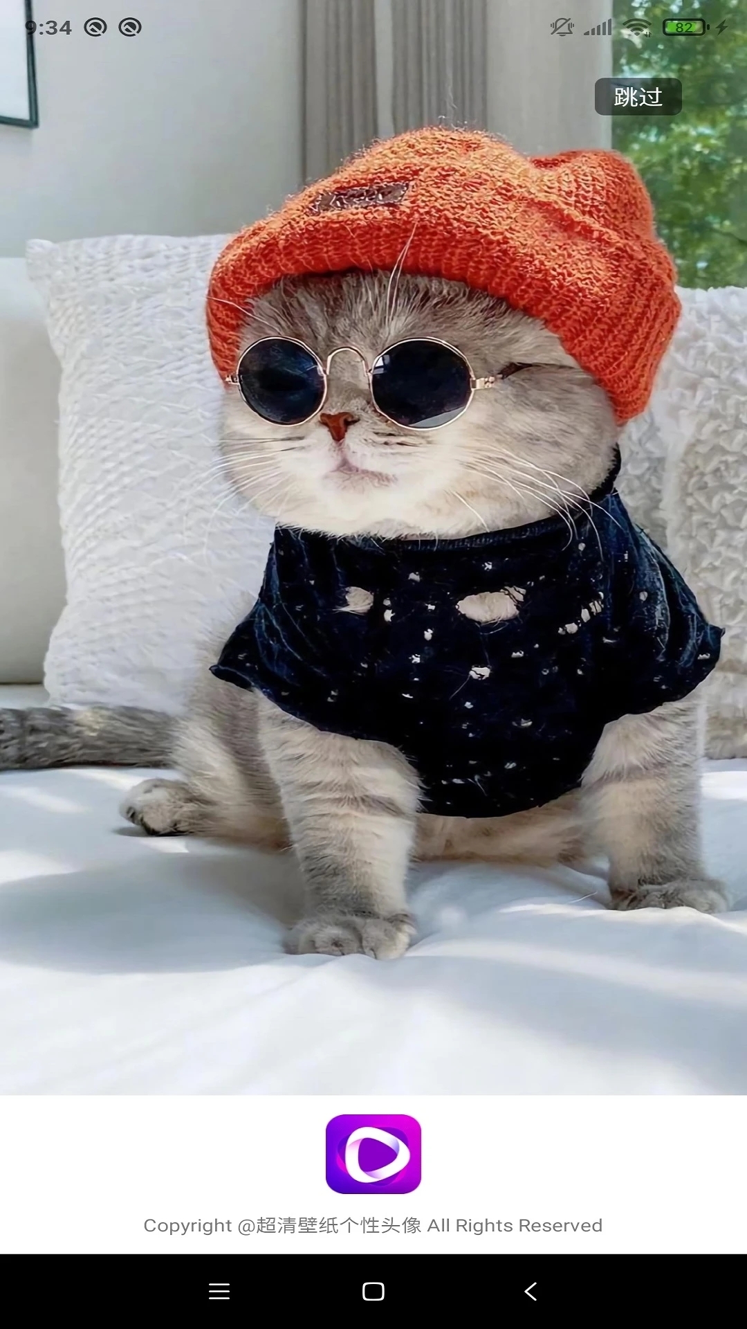 动态壁纸秀场官方下载安装