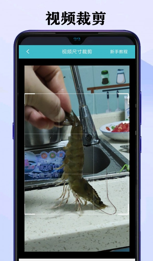 水印坊官方版app