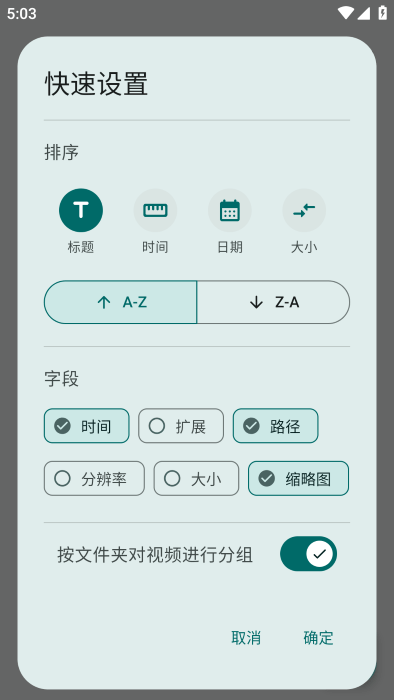 Next Player播放器官方版