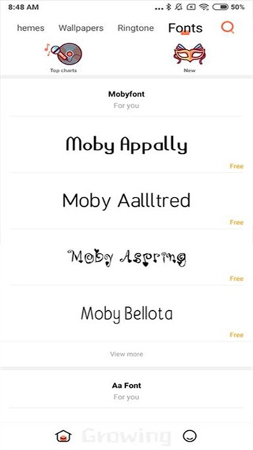 小米主题官方正版下载