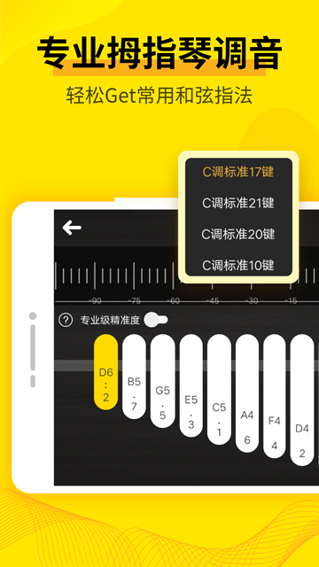 调音器官方正版下载