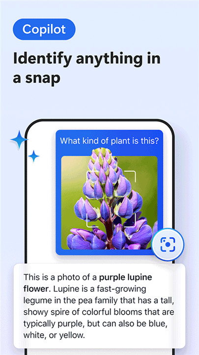 1772087497322245.jpg 23151841tdl9.jpg