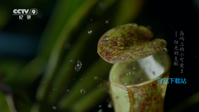 电视多多tv最新版