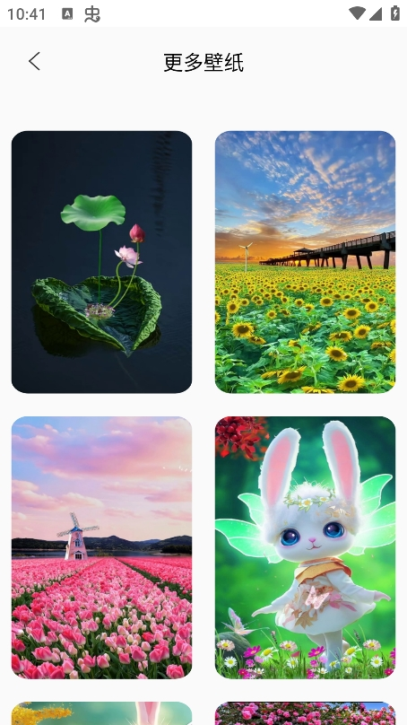 Quin壁纸安卓版下载