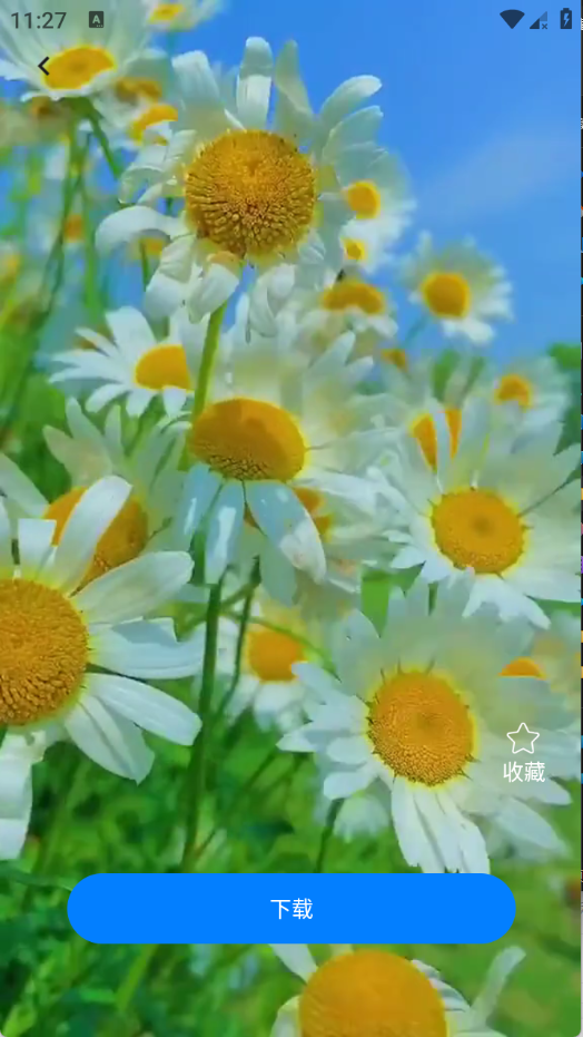 动态免费壁纸下载