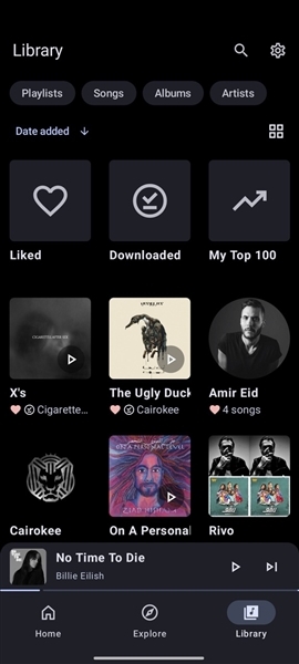 pokacam安卓下载app