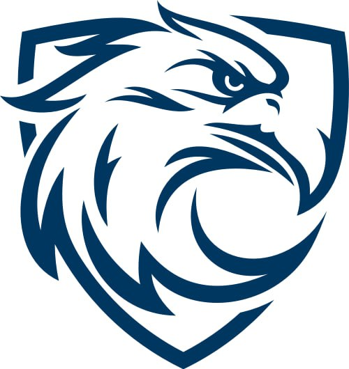 蓝鹰视界下载app