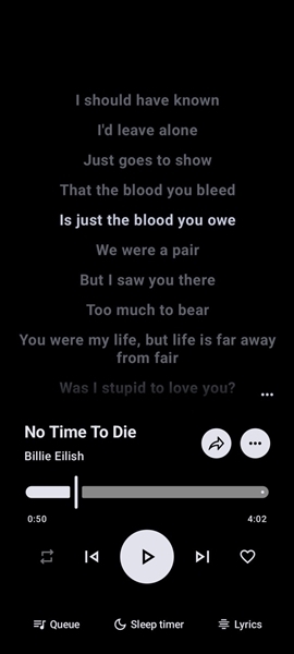 Metrolist播放器安卓版最新下载