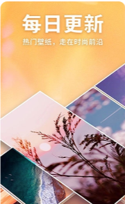 灵猫壁纸app下载