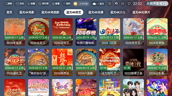 大视界影视tv版下载