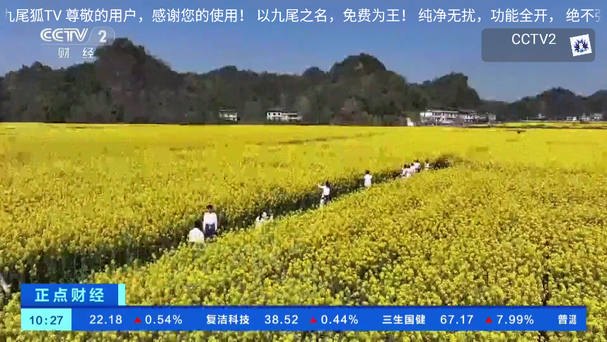 九尾狐TV电视版