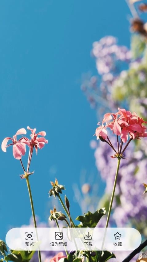 每日桌面壁纸下载app