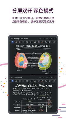 小卡笔记2026最新手机版