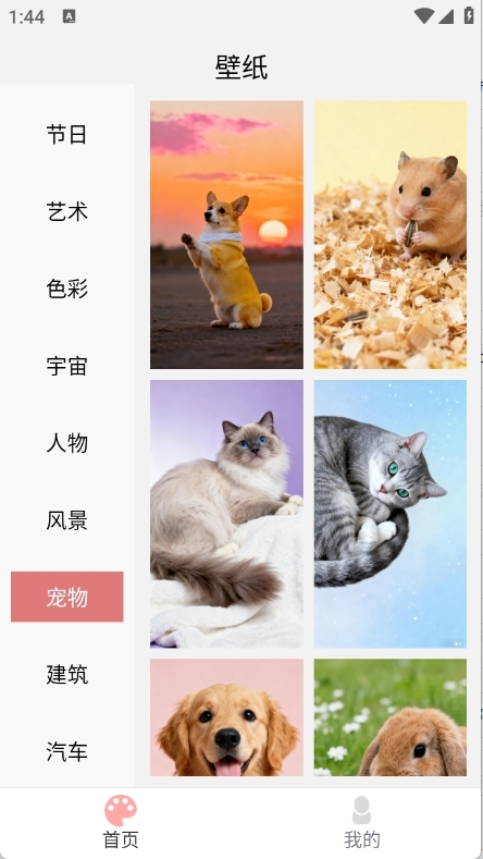 绚泽壁纸安卓版下载