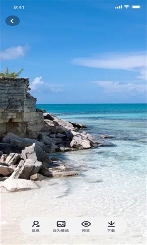 咪兔壁纸手机版下载