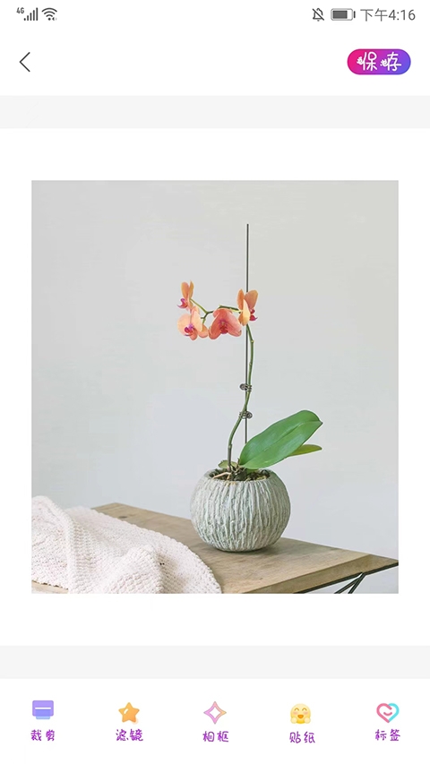 promovie专业摄像机app下载