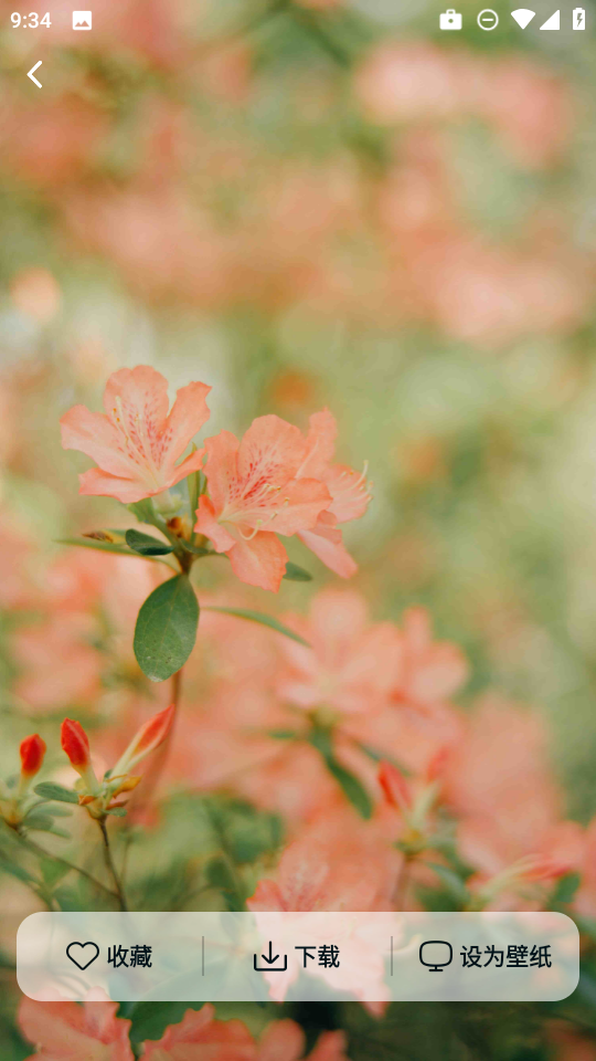 灵蝶壁纸app下载安装