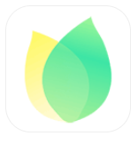 飞火动态壁纸下载