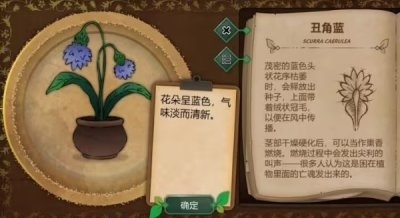 奇异园艺免费版下载