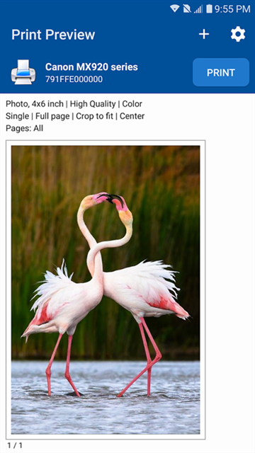 NokoPrint手机打印中文版