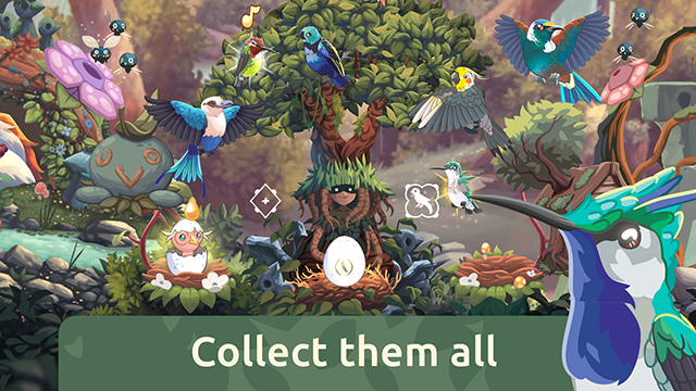 鸟类世界游戏官方版