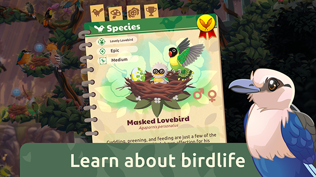 鸟类世界游戏官方版